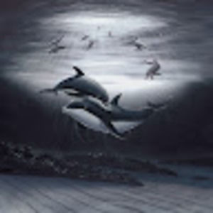 Meet your Posher, Anna-marie